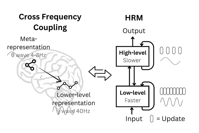 The Loop is Back: Why HRM is the Most Exciting AI Architecture in Years