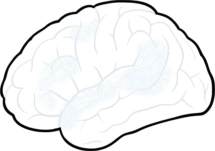 Brain Map